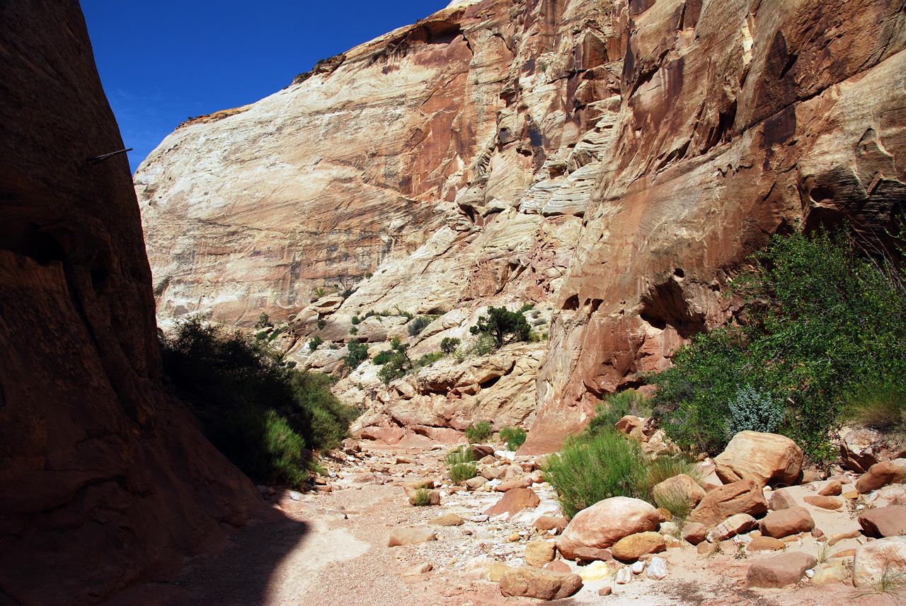 07-08-23, 148, Capitol Reef National Park, Utah