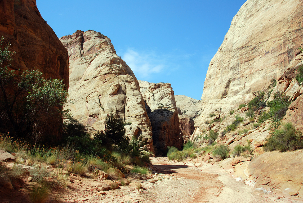 07-08-23, 149, Capitol Reef National Park, Utah