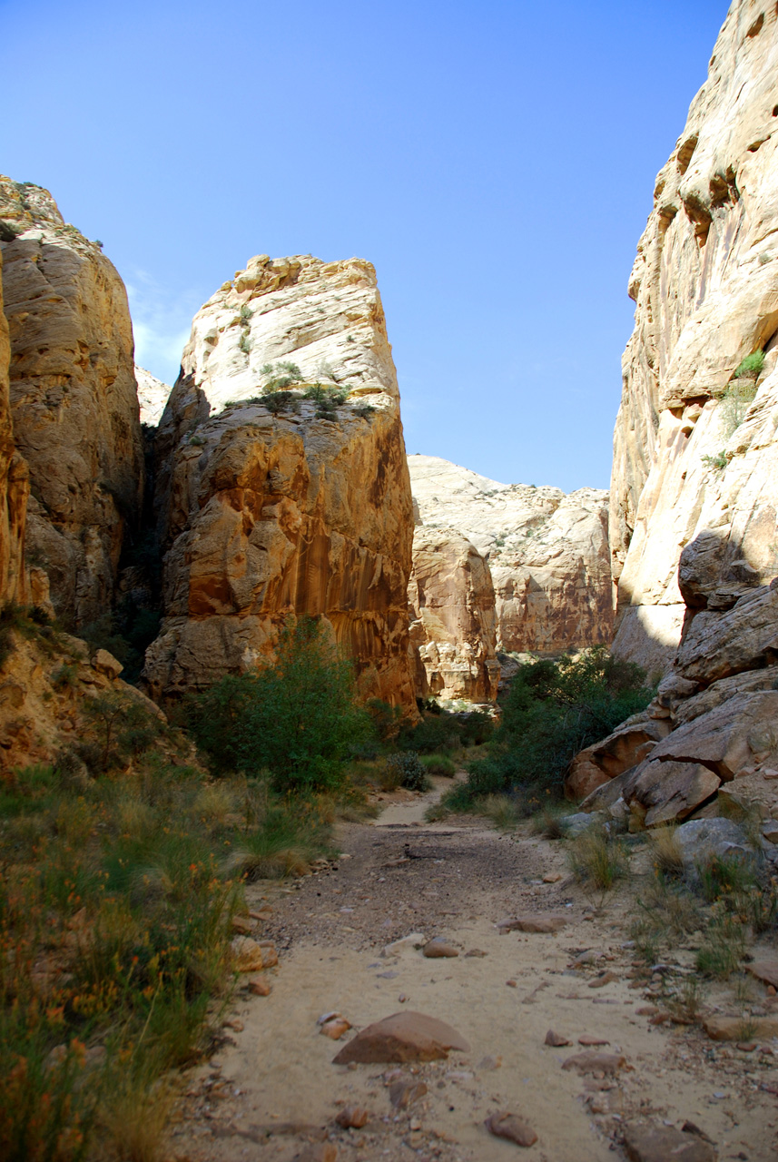 07-08-23, 151, Capitol Reef National Park, Utah