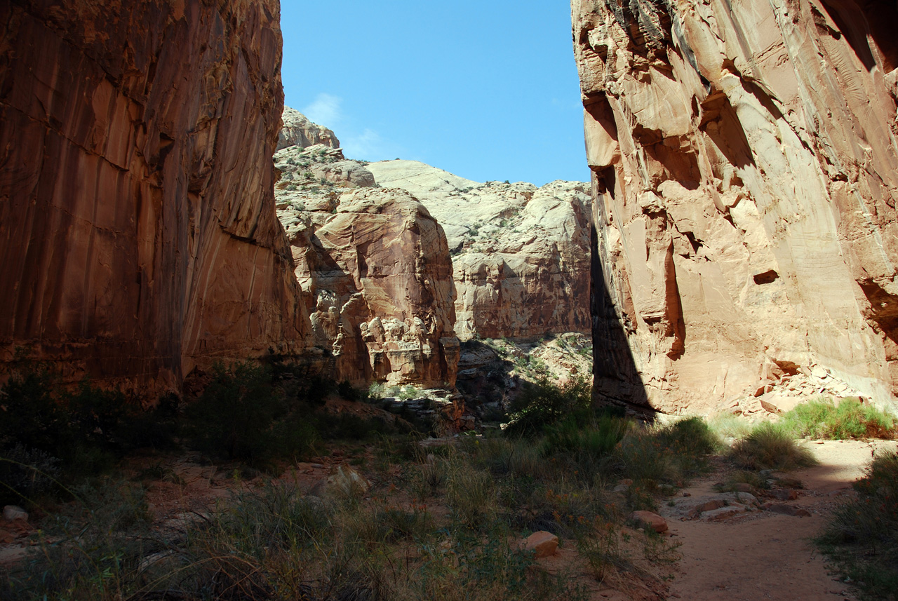 07-08-23, 153, Capitol Reef National Park, Utah