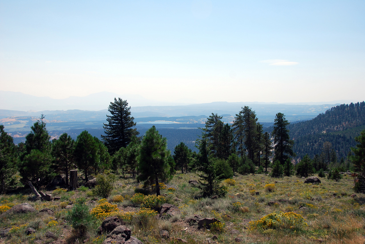 07-08-23, 161, Along Rt 12 in Utah