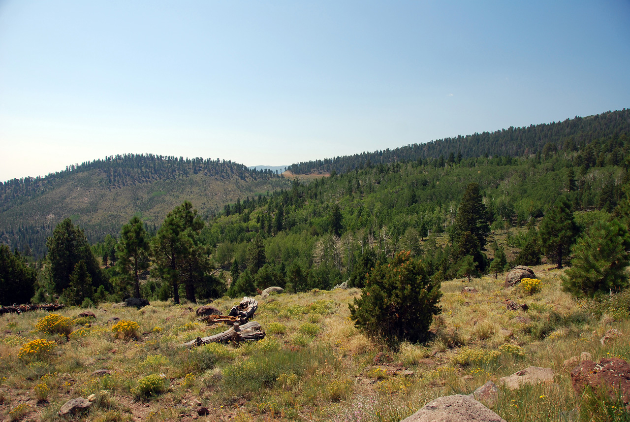 07-08-23, 165, Along Rt 12 in Utah