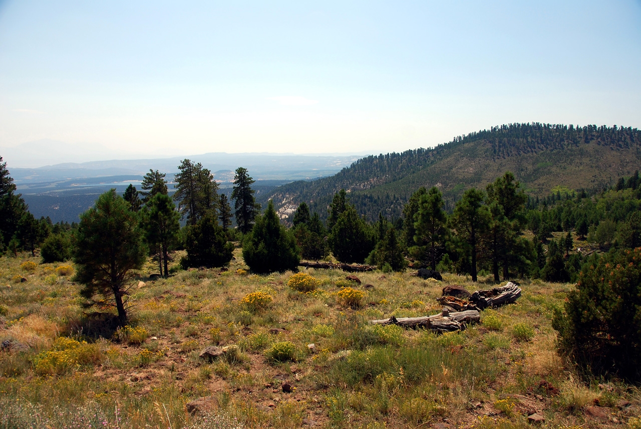 07-08-23, 166, Along Rt 12 in Utah