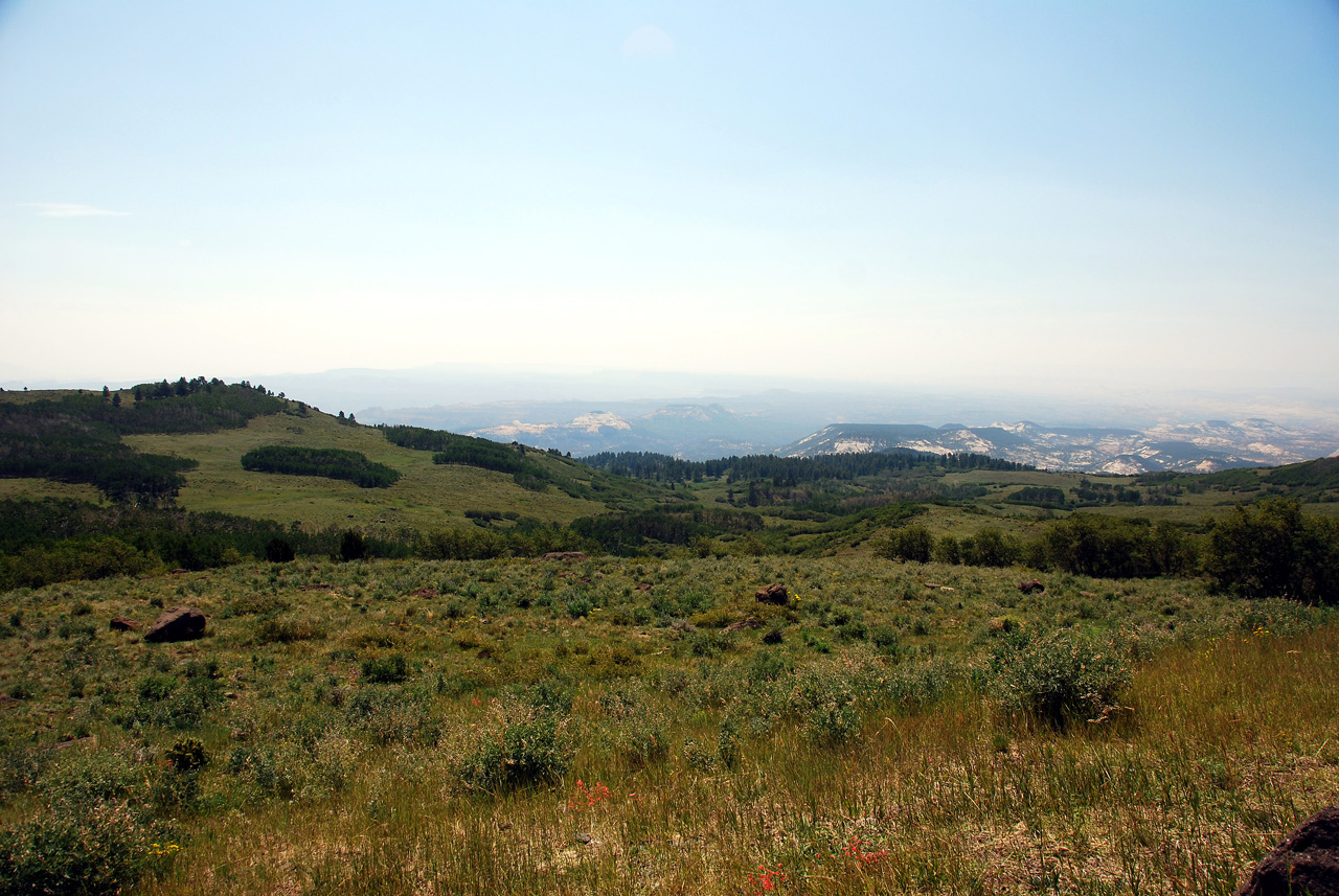 07-08-23, 168, Along Rt 12 in Utah