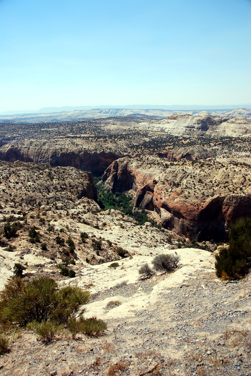 07-08-23, 173, Along Rt, Grand Staircase-Escalante NM, Utah