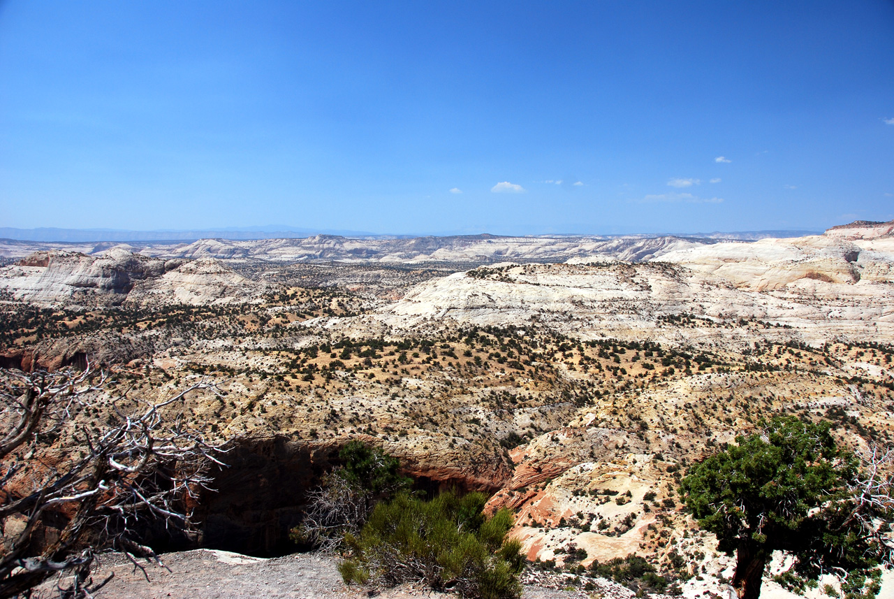 07-08-23, 177, Along Rt, Grand Staircase-Escalante NM, Utah