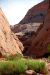 07-08-23, 140, Capitol Reef National Park, Utah