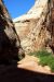 07-08-23, 145, Capitol Reef National Park, Utah