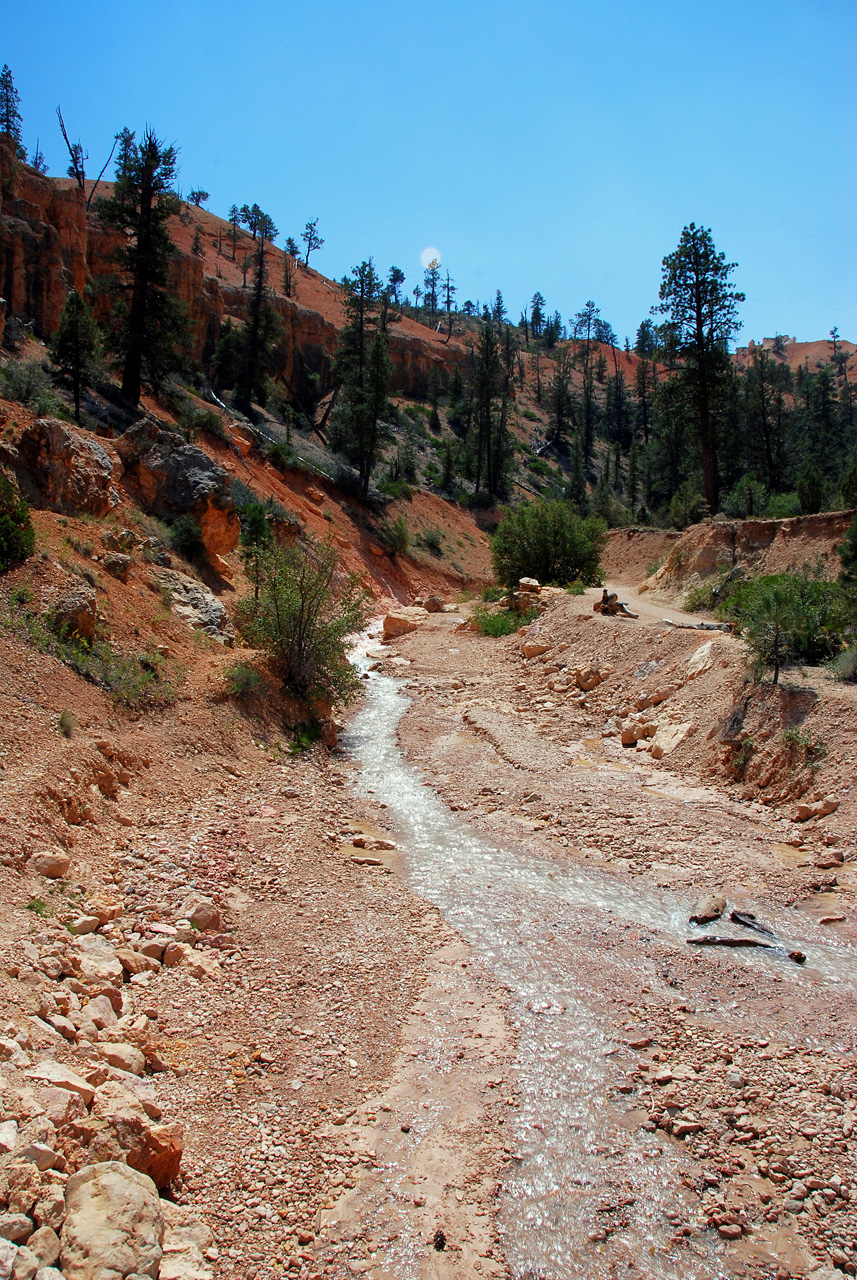 07-08-23, 186, Bryce Canyon National Park, Utah