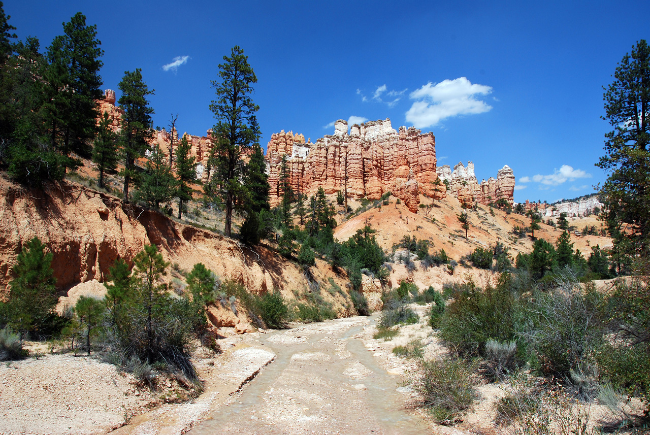 07-08-23, 187, Bryce Canyon National Park, Utah