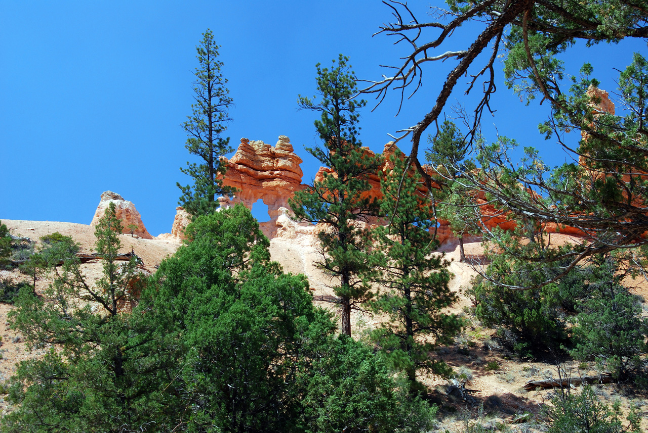 07-08-23, 190, Bryce Canyon National Park, Utah