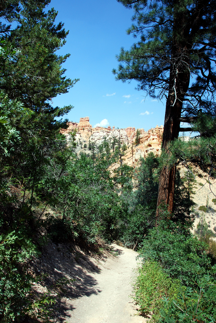 07-08-23, 197, Bryce Canyon National Park, Utah