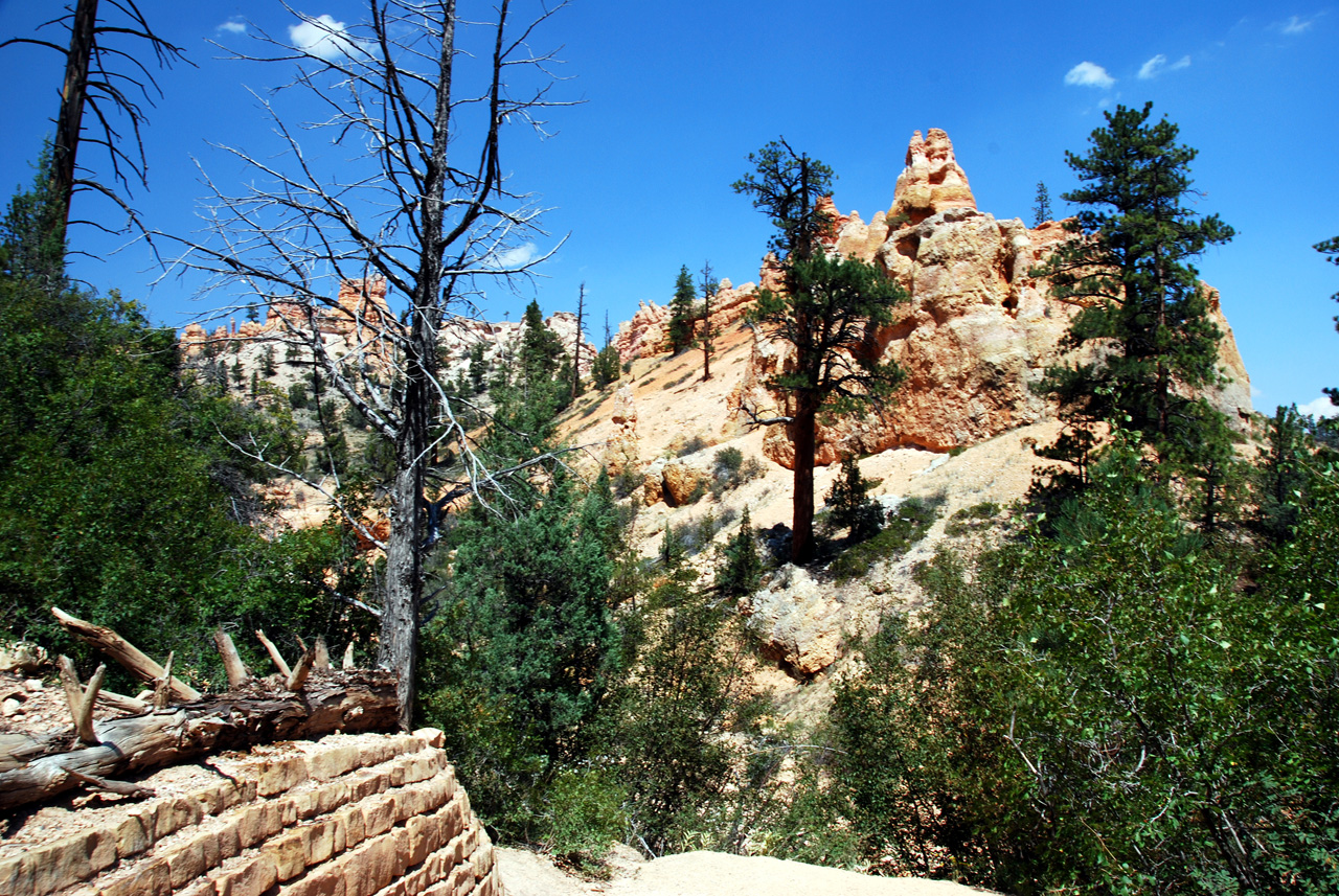 07-08-23, 198, Bryce Canyon National Park, Utah