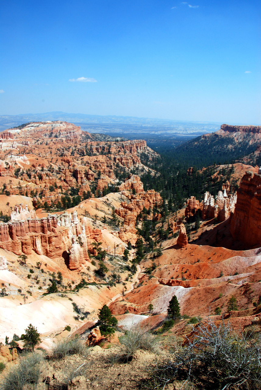 07-08-23, 205, Bryce Canyon National Park, Utah