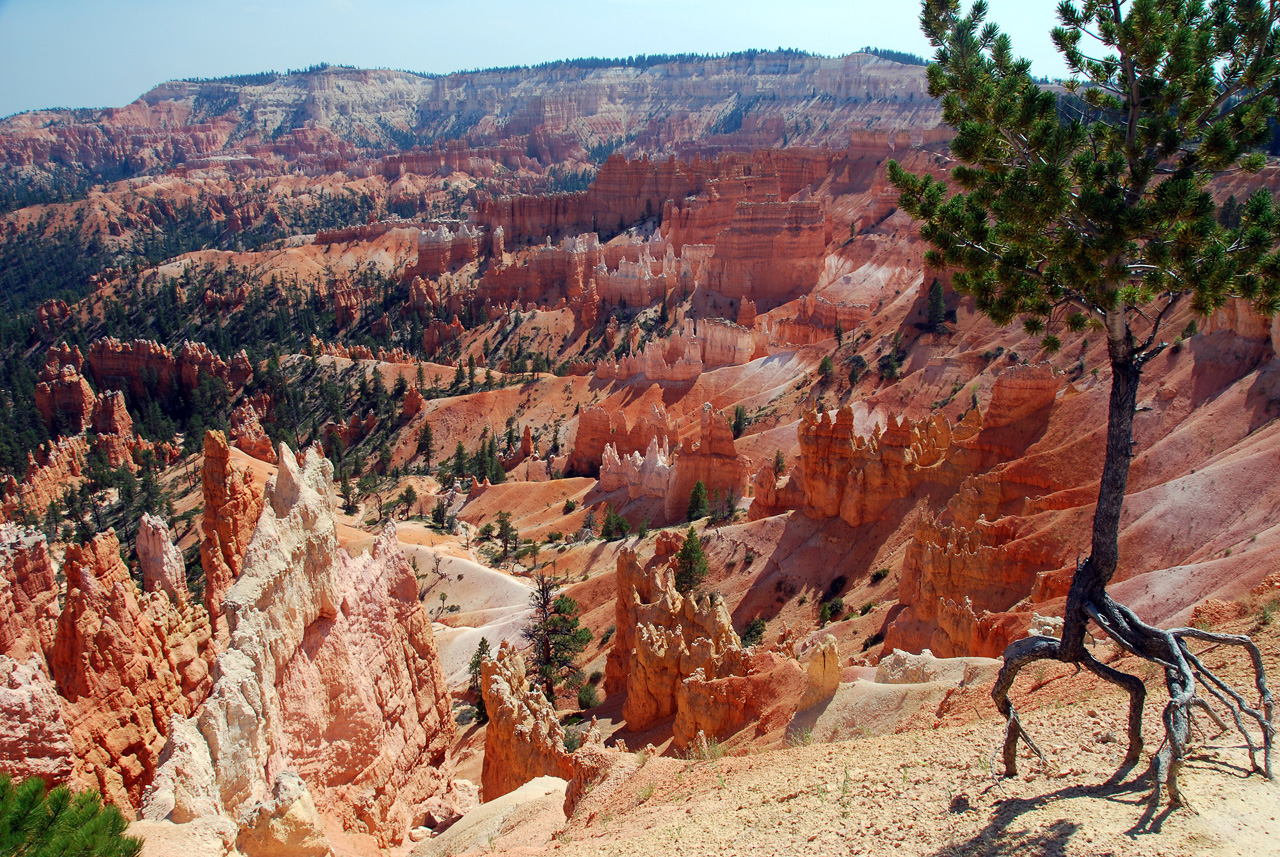 07-08-23, 216, Bryce Canyon National Park, Utah