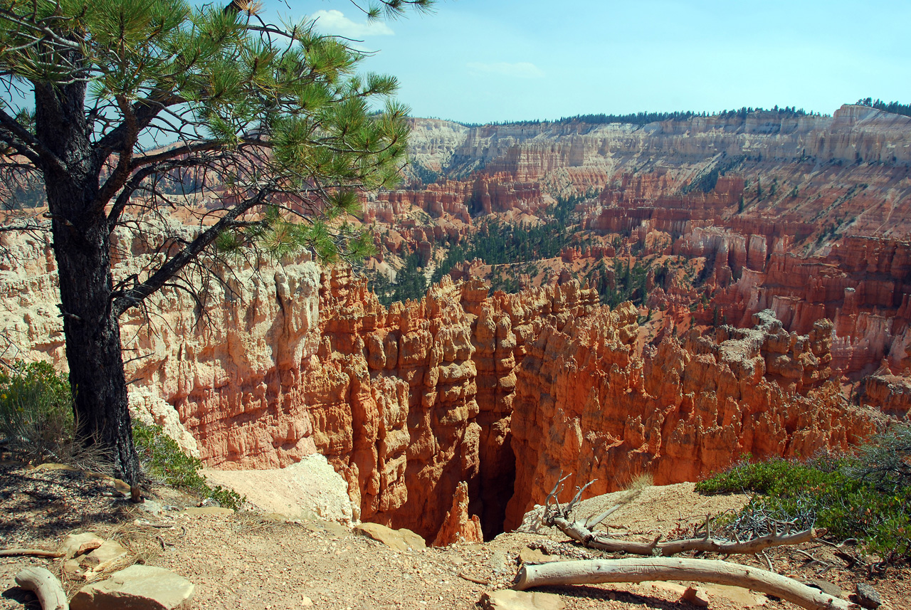 07-08-23, 233, Bryce Canyon National Park, Utah