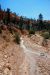 07-08-23, 186, Bryce Canyon National Park, Utah