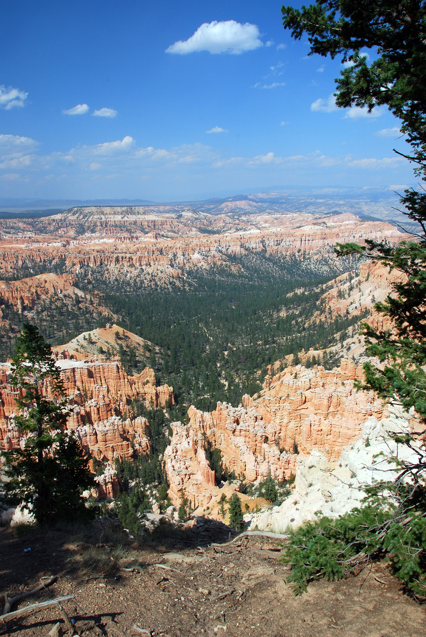 07-08-23, 250, Bryce Canyon National Park, Utah