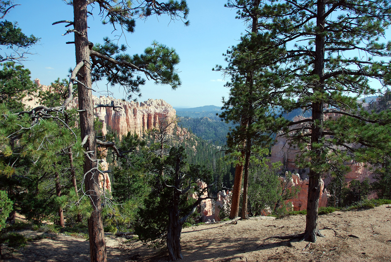 07-08-23, 290, Bryce Canyon National Park, Utah