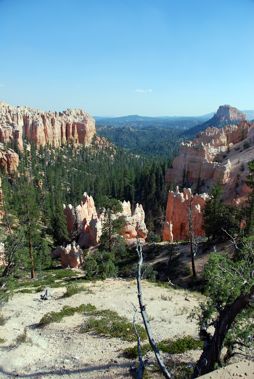 07-08-23, 294, Bryce Canyon National Park, Utah