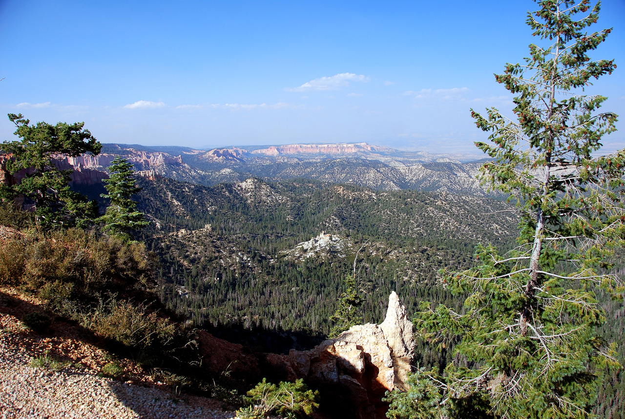 07-08-23, 317, Bryce Canyon National Park, Utah