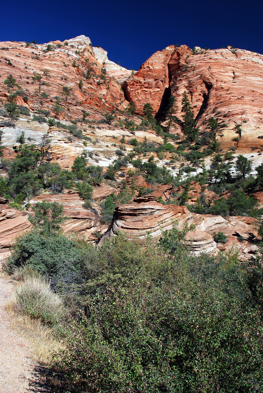 07-08-24, 048, Zion National Park, Utah