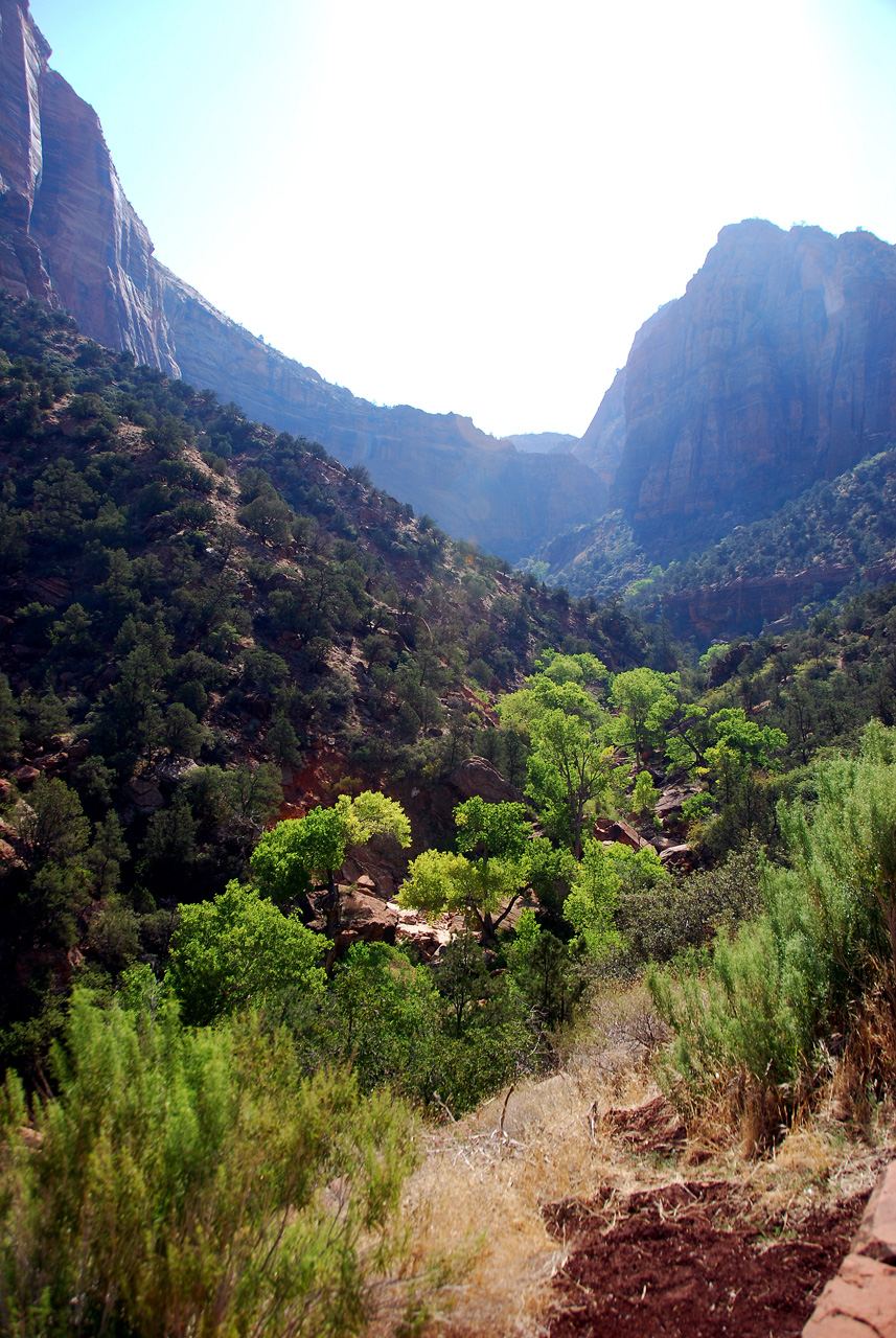 07-08-24, 075, Zion National Park, Utah