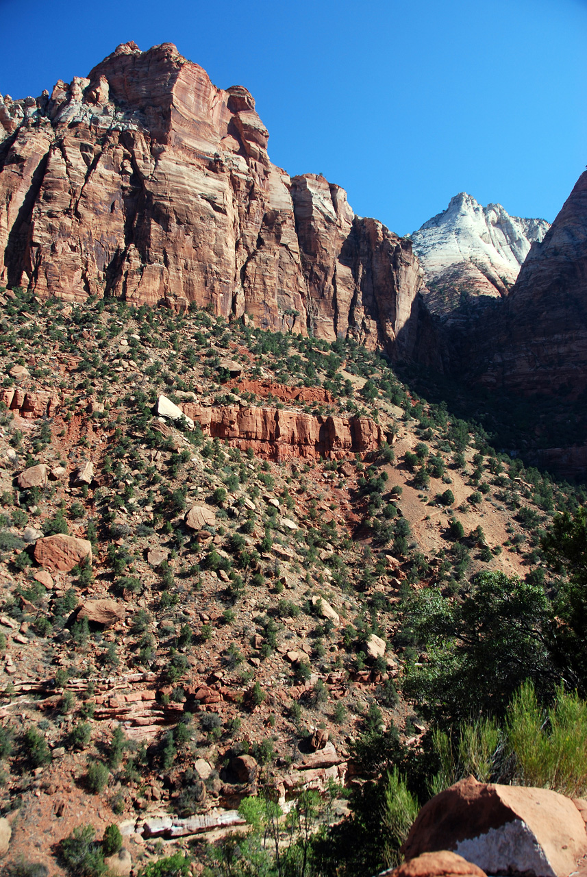 07-08-24, 082, Zion National Park, Utah