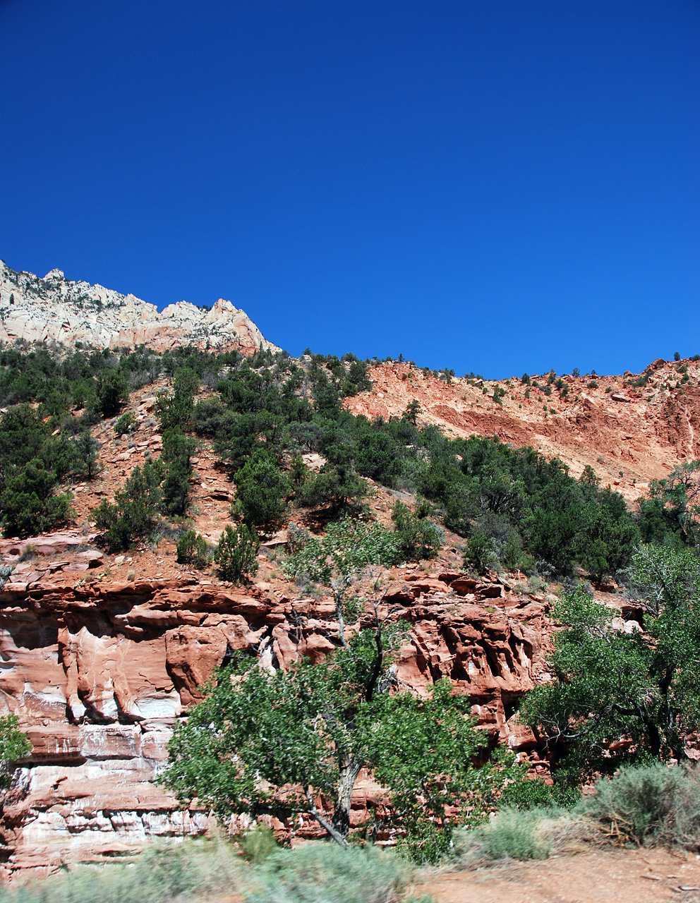 07-08-24, 101, Zion National Park, Utah