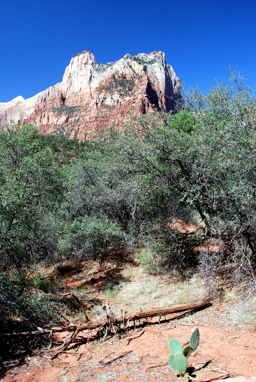 07-08-24, 108, Zion National Park, Utah