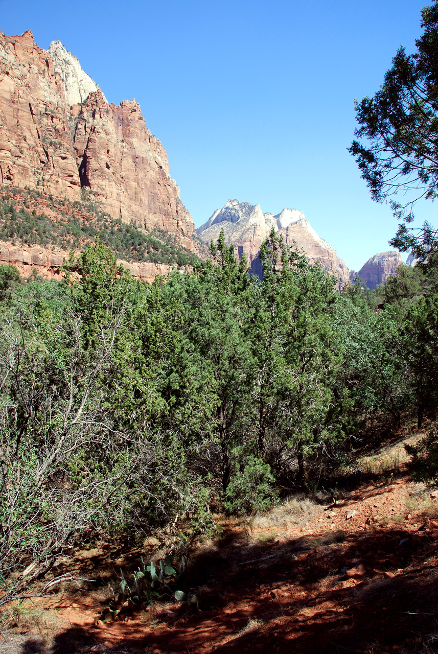 07-08-24, 110, Zion National Park, Utah