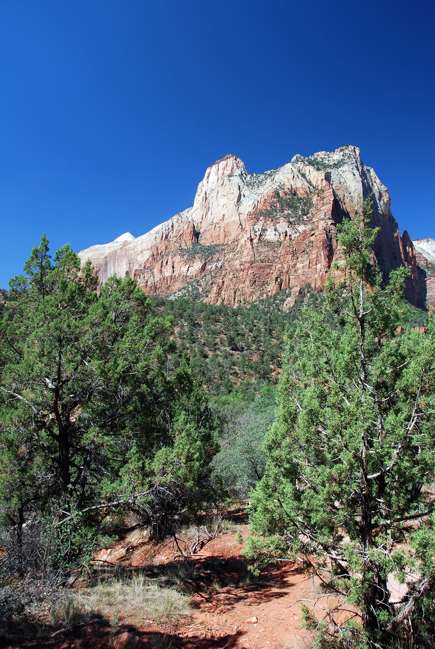 07-08-24, 111, Zion National Park, Utah