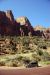 07-08-24, 078, Zion National Park, Utah