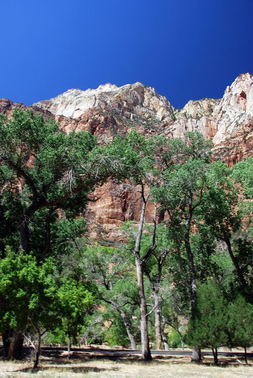 07-08-24, 123, Zion National Park, Utah