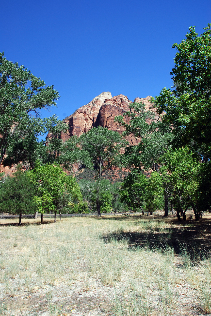 07-08-24, 124, Zion National Park, Utah