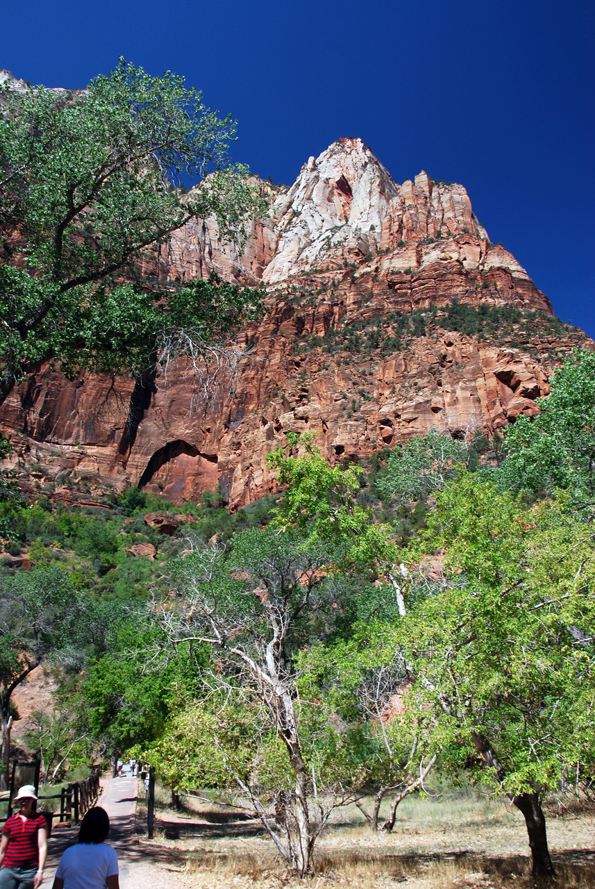 07-08-24, 125, Zion National Park, Utah