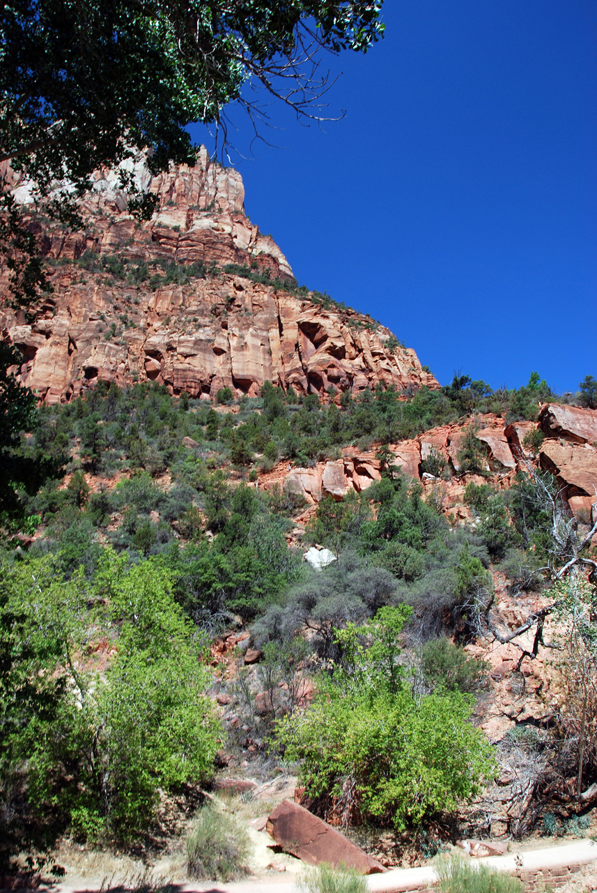 07-08-24, 128, Zion National Park, Utah