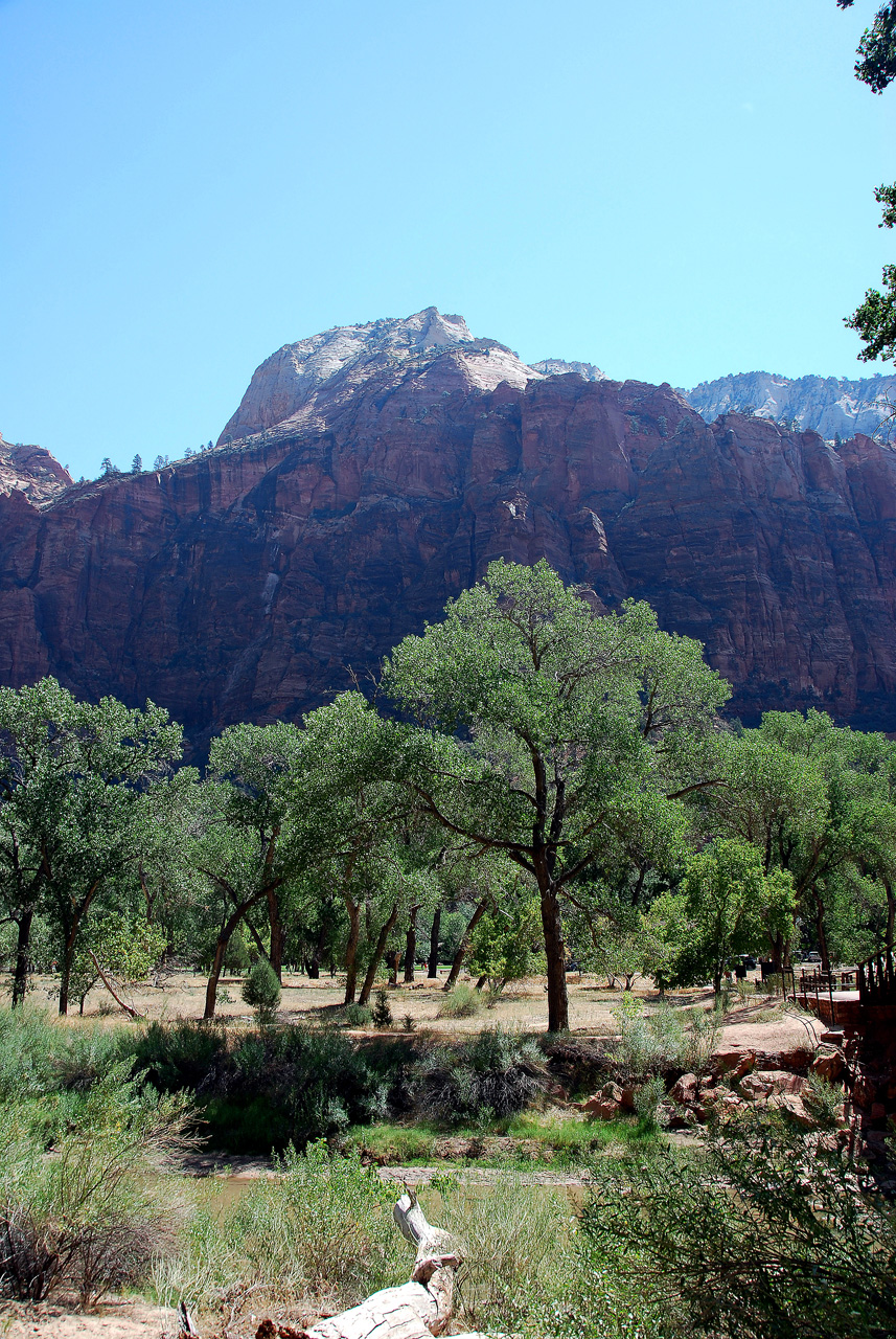 07-08-24, 130, Zion National Park, Utah