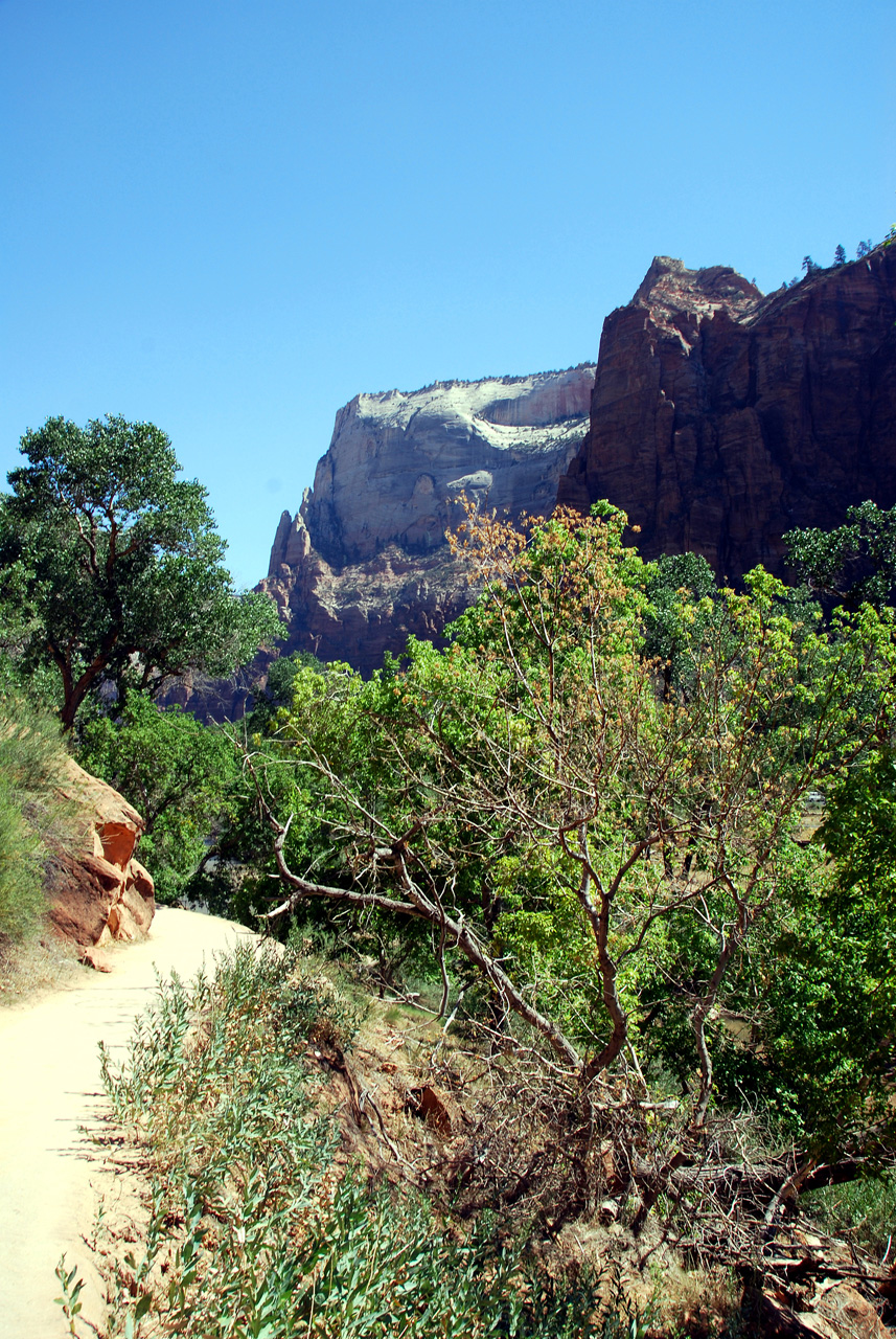 07-08-24, 132, Zion National Park, Utah