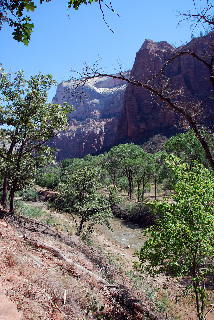 07-08-24, 135, Zion National Park, Utah