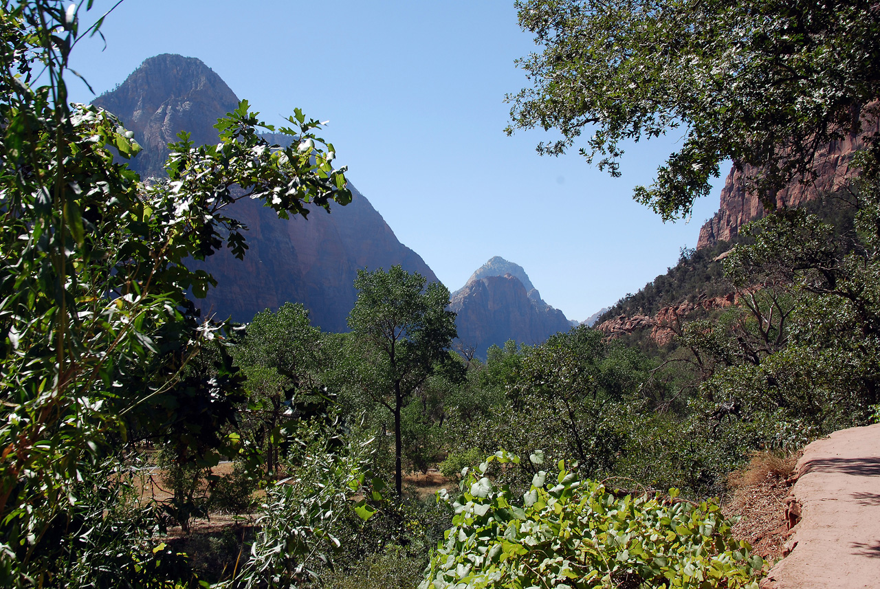 07-08-24, 136, Zion National Park, Utah