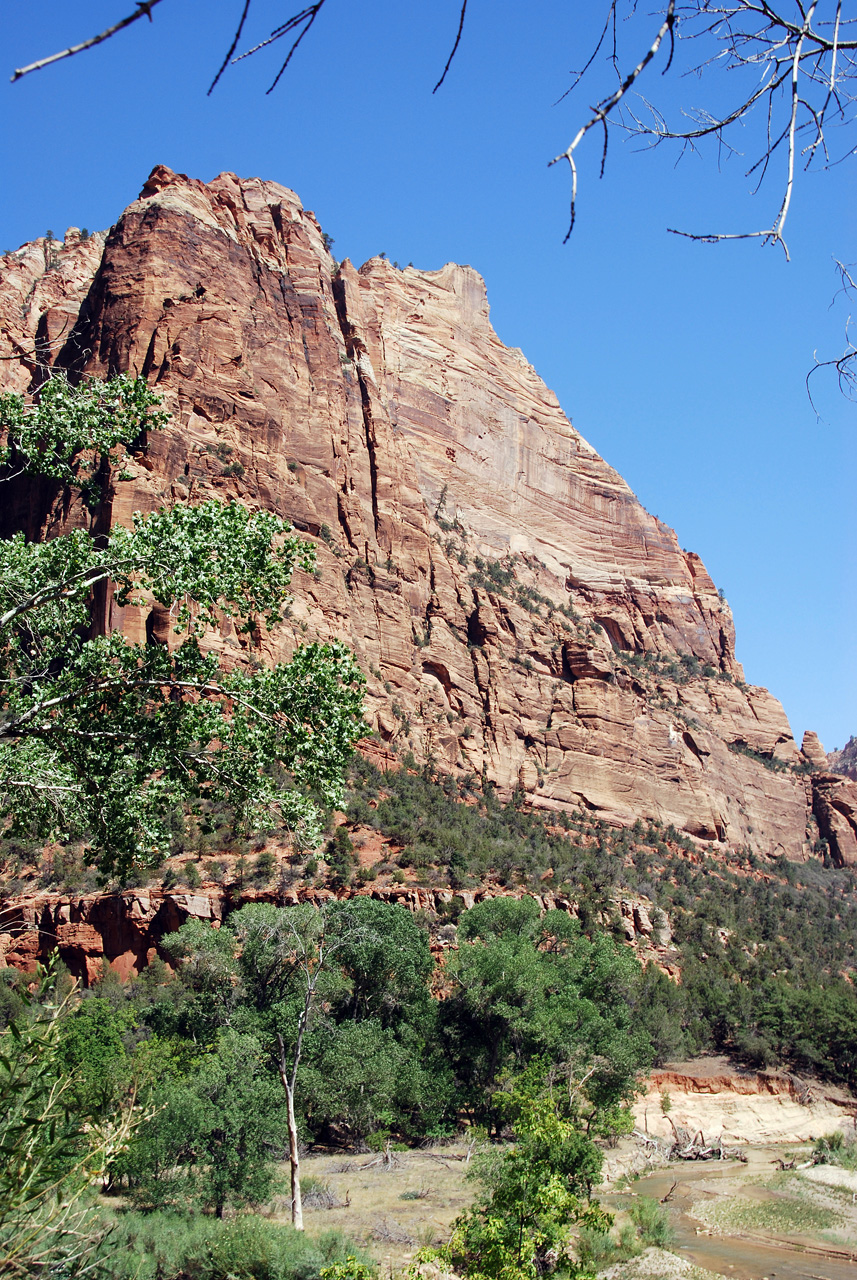 07-08-24, 137, Zion National Park, Utah