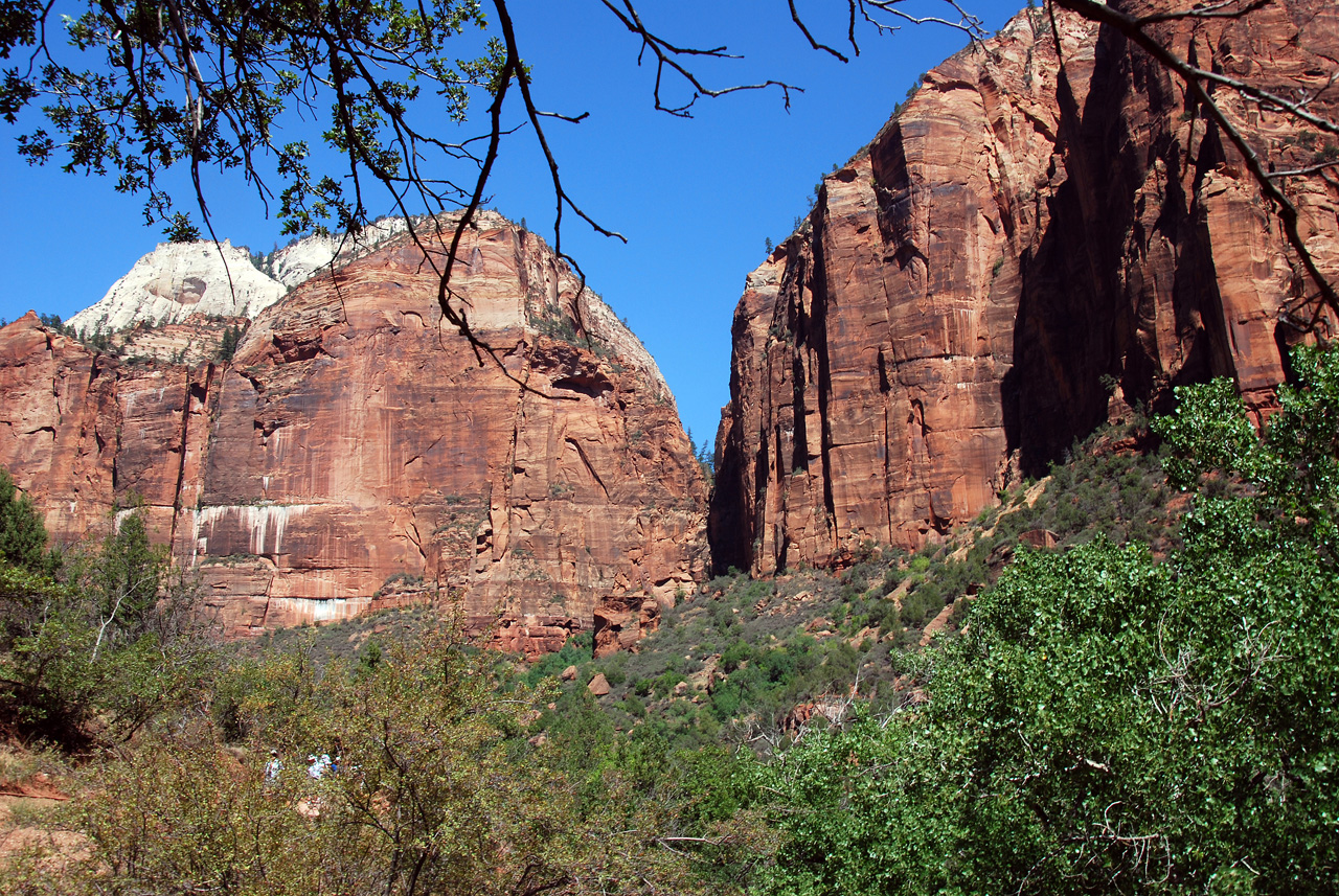 07-08-24, 139, Zion National Park, Utah