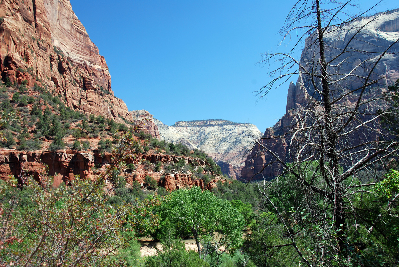 07-08-24, 141, Zion National Park, Utah