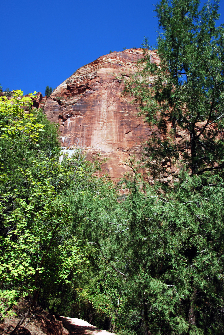 07-08-24, 144, Zion National Park, Utah