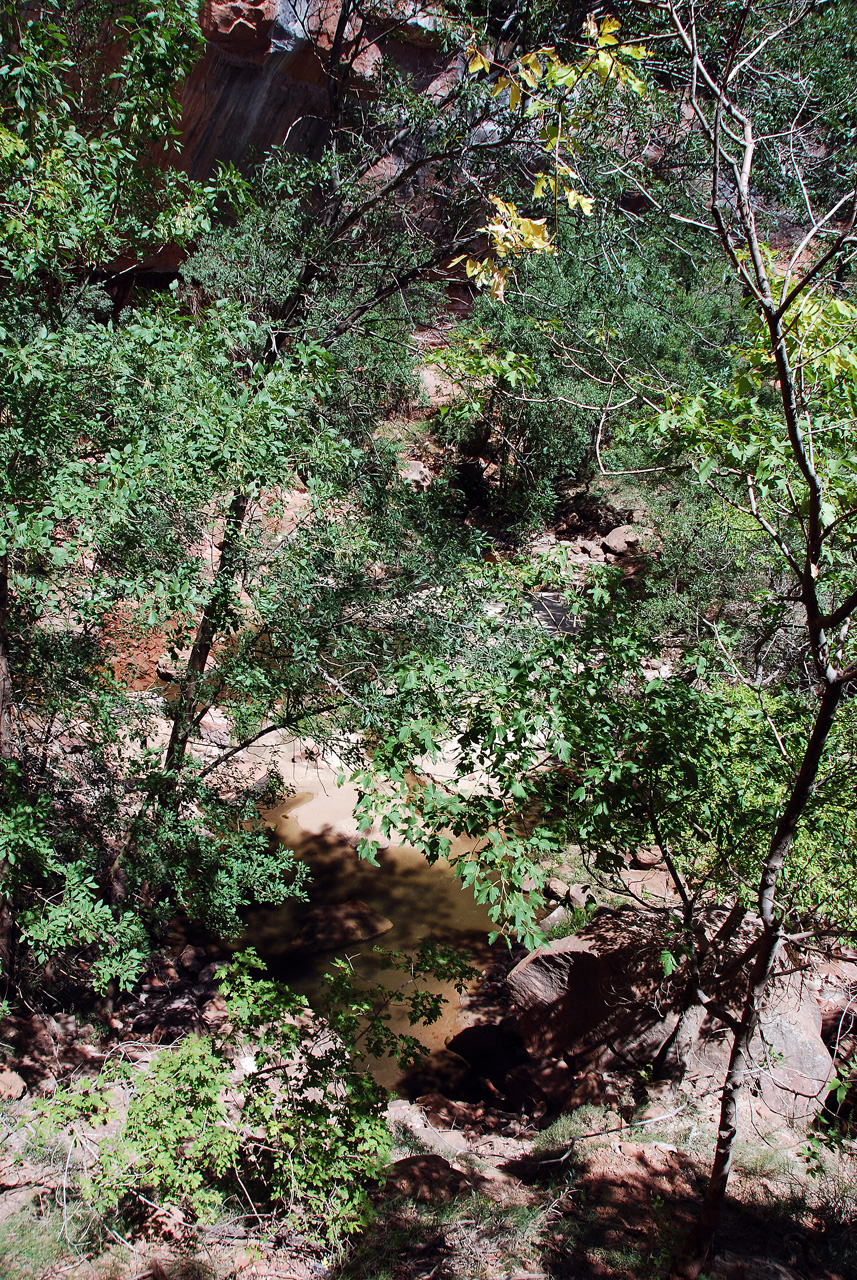 07-08-24, 146, Zion National Park, Utah