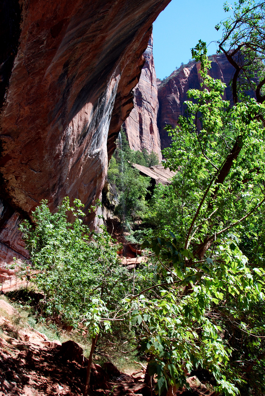 07-08-24, 150, Zion National Park, Utah