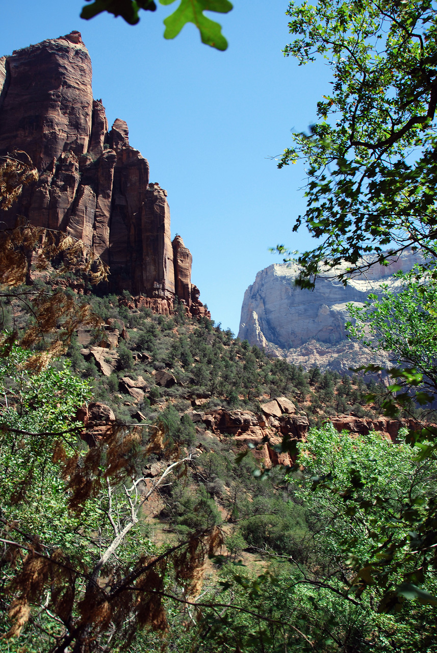 07-08-24, 153, Zion National Park, Utah