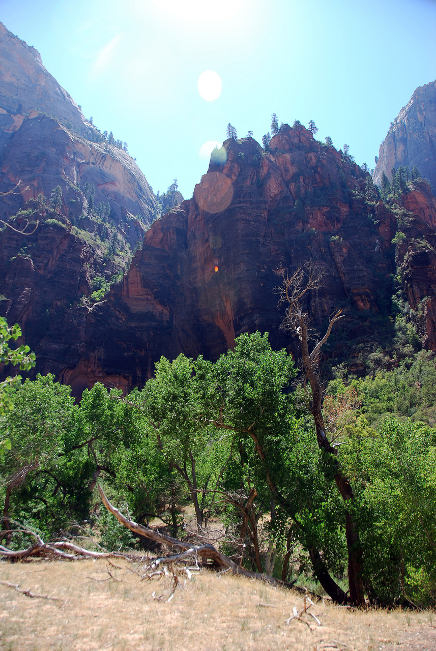 07-08-24, 165, Zion National Park, Utah