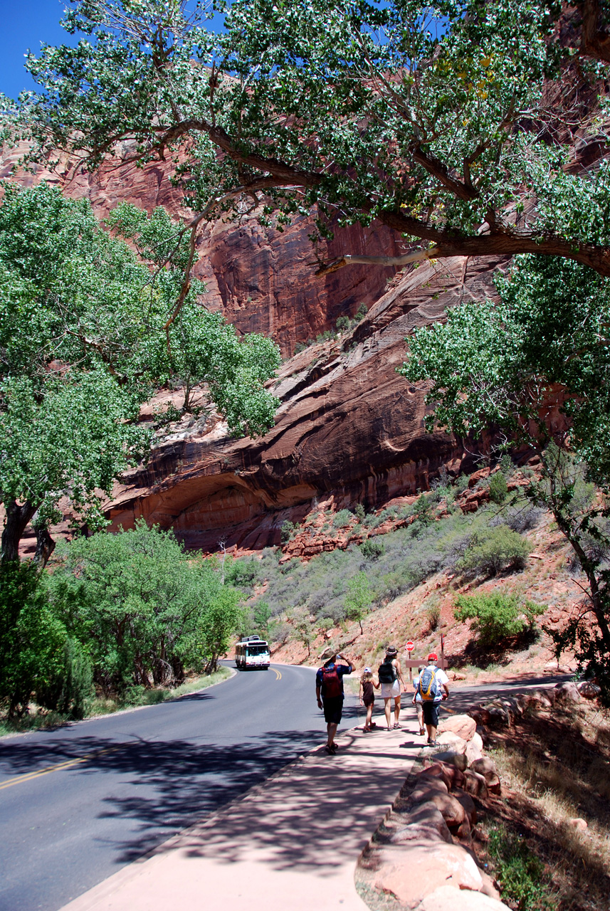 07-08-24, 168, Zion National Park, Utah